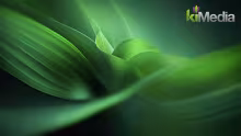 Green KiMedia brand texture